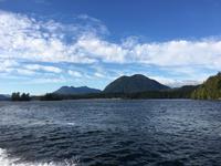 Bootsfahrt in Tofino