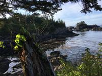 Auf der romantischen Wanderung