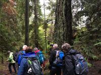 ueber Stock und Stein