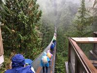 Die Capilano Haengebruecke im REGENwald