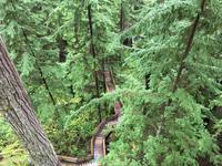 Weg im Pacific National Park bei Tofino
