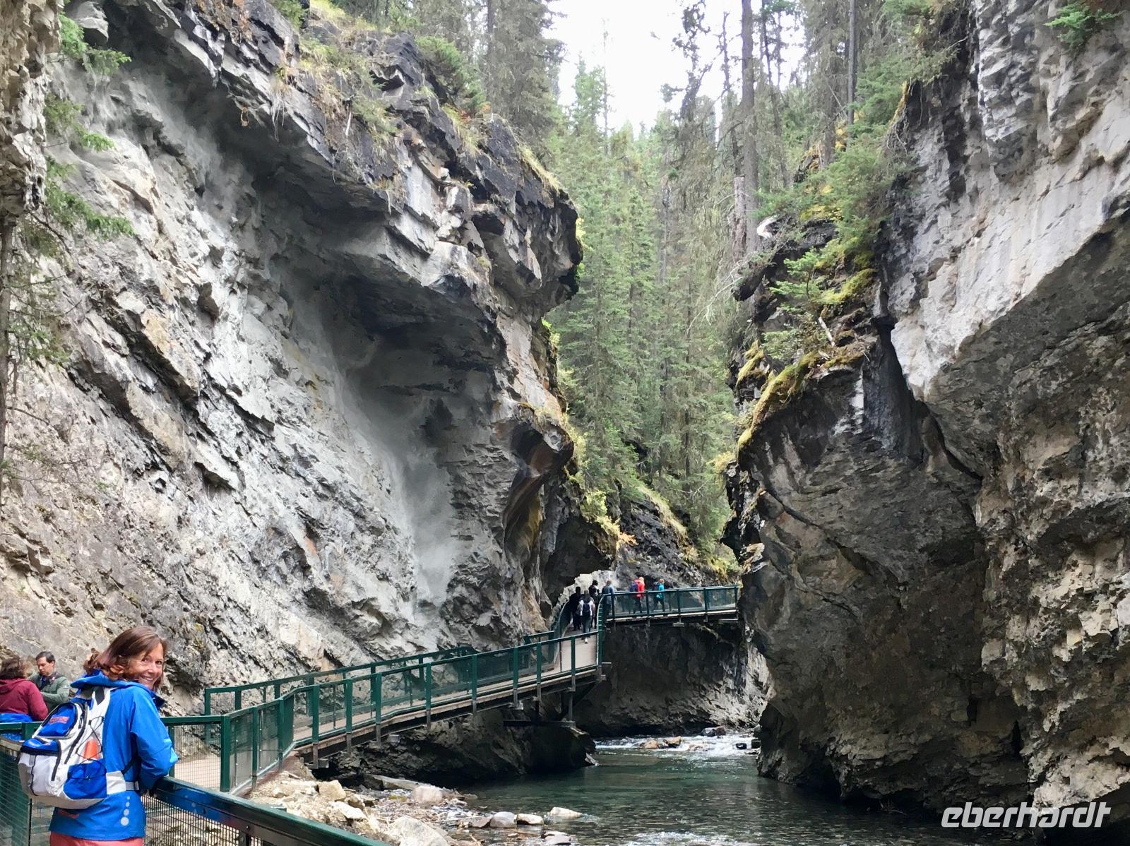 Coucou, bei Johnston Canyon