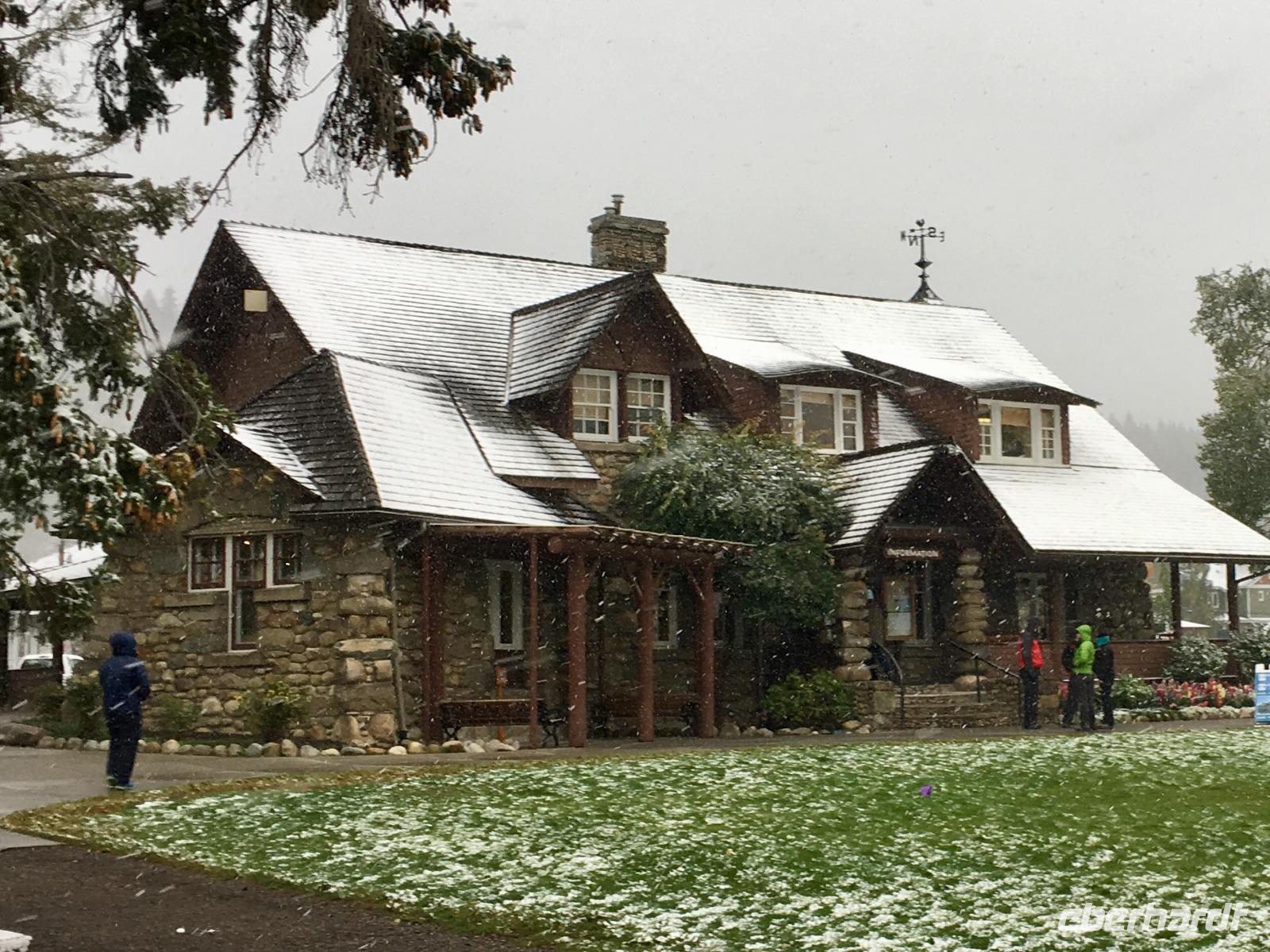 angezuckertes Jasper, Winter im Training