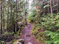 erste Wanderung in Britisch Columbien
