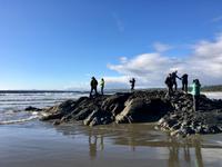 Krazeln bei Wickanninisch Beach