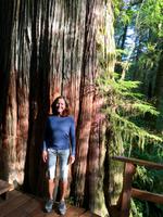 Elisabeth, unsere Reiseleitung 