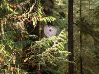 da bin ich zu Hause ! 