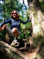 Mogli auf Maquinna Island