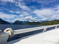 Die wilde Kueste der Wild-West-Coast