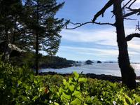 Abschied von der West Kueste