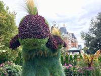 Blumenorcas vor dem Empress Hotel
