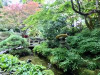 Der japanische Garten