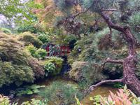 die rote Bruecke im japanischen Garten