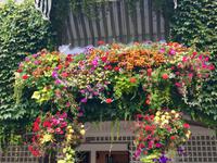 im italienschen Garten