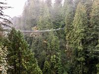 noch mehr luftige Haengebruecken in Vancouver
