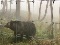 Grinder auf Grouse Mt.