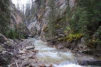 Johnston Canyon