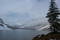 Bow Lake