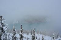 Lake Peyto