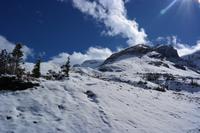 Columbia Icefield