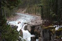 Sunwapta Falls