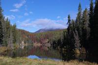 Grenze zu British Columbia