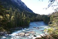 Overlander Trail - Fraser River