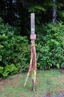 Wandern auf Vancouver Island - mit Gratis Wanderstöcken :-)