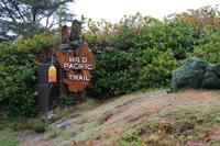 Wild Pacific Trail
