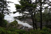 Wild Pacific Trail