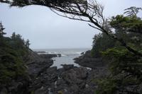 Wild Pacific Trail