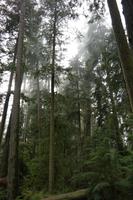 Pacific Rim Nationalpark