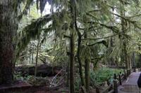 Pacific Rim Nationalpark