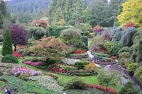 The Buchart Gardens