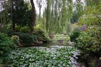 The Buchart Gardens
