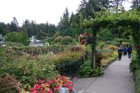 The Buchart Gardens