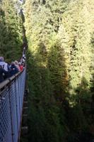 Capilano Suspension Bridge