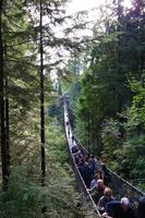 Capilano Suspension Bridge