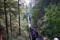 Capilano Suspension Bridge