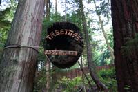 Capilano Suspension Bridge