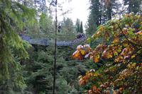 Capilano Suspension Bridge