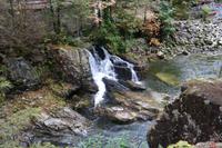 Wanderung zur Lachszucht