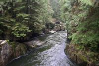 Wanderung zur Lachszucht