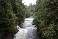 Wanderung zur Lachszucht