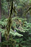 Wanderung zur Lachszucht