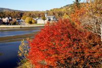 166 La Malbaie