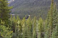 Yoho-Nationalpark - Spiral Tunnels