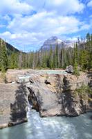 Yoho-Nationalpark - Natural Bridge