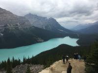 Banff-Nationalpark - Peyto Lake