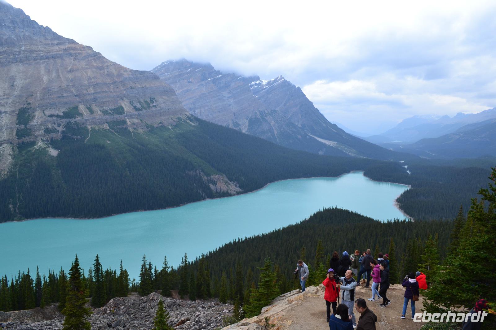 Banff-Nationalpark - Peyto Lake
